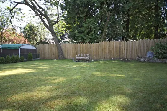 Yard  