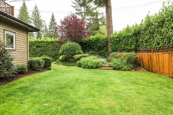Yard - 2499 Hayseed Close  