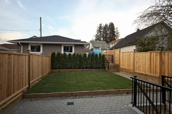 Backyard  