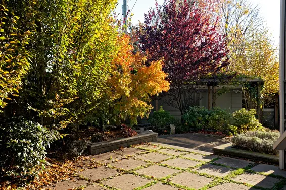 Yard  