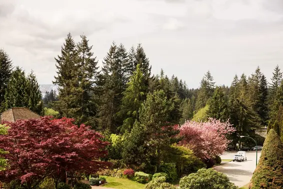 2948 Dresden Way, North Vancouver For Sale - image 34