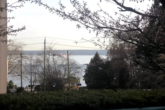 View  