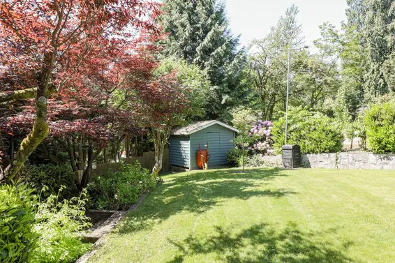 Backyard - 1391 Coleman Street  