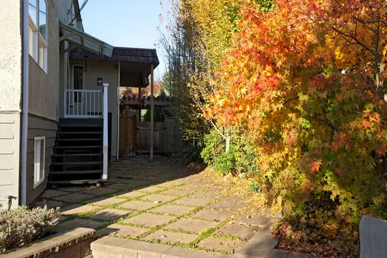 Yard  