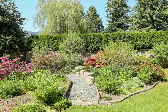 Backyard - 3490 Institute Road  