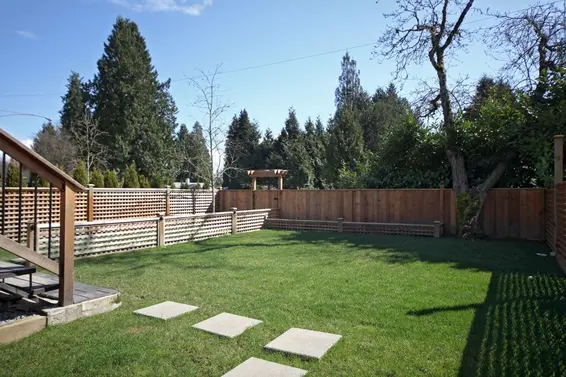 Backyard  