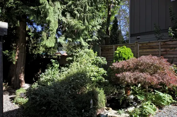 894 Orwell Street, North Vancouver For Sale - image 21