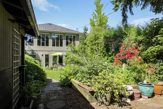 Backyard - 317 East 20th Street  
