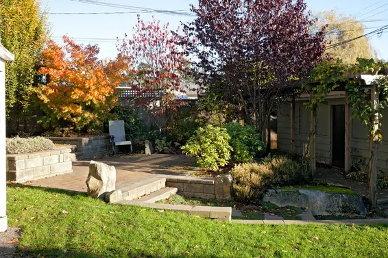 Yard  