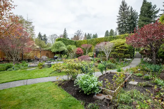 515 East 19th Street, North Vancouver - front yard 3  