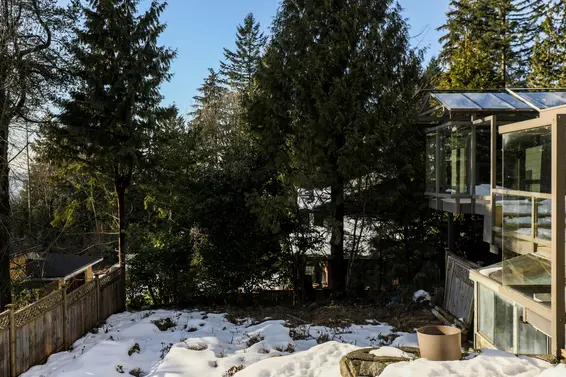Backyard  