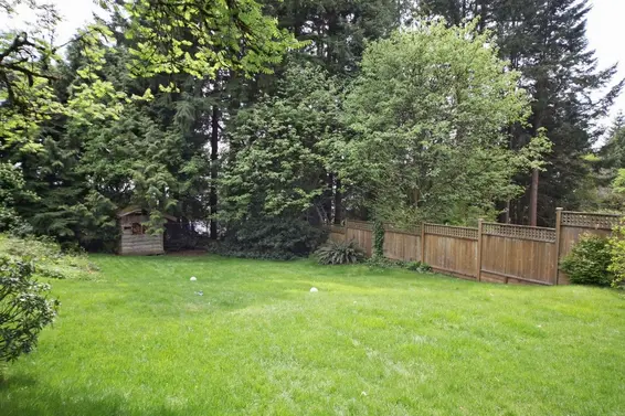 Backyard  