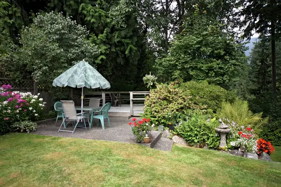 Backyard  