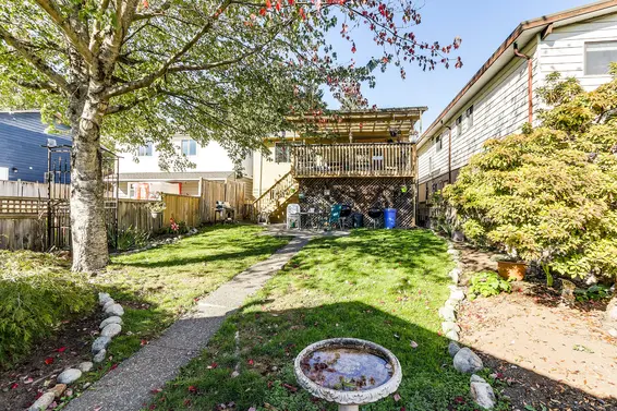 Backyard  - 1637 Evelyn Street  