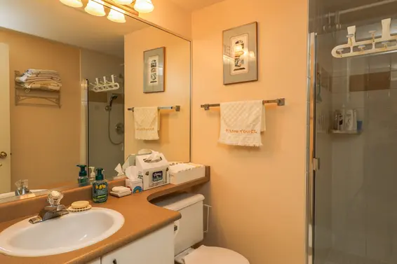 Bathroom - 209-175 East 10th Street  