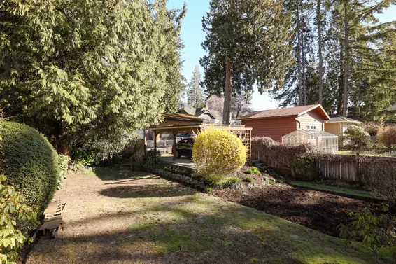 Backyard - 1136 West 22nd Street, North Vancouver  