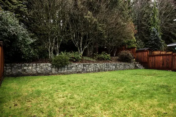 Grassed backyard  