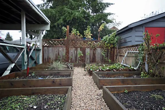 Vegetable Garden  
