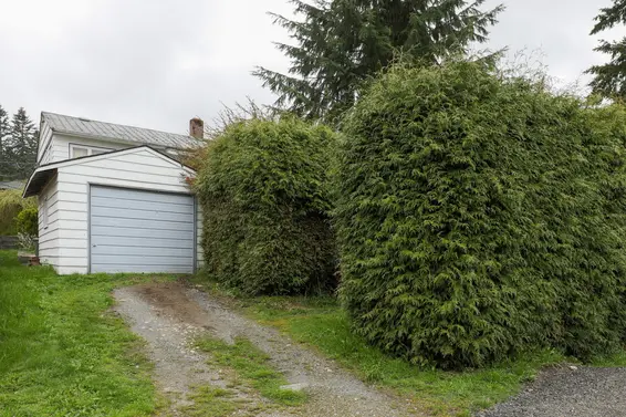 181 West Windsor Road, North Vancouver For Sale - image 3