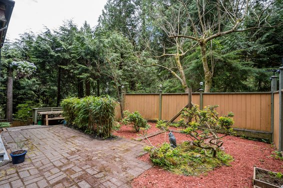 4395 Rice Lake Road, North Vancouver - yard