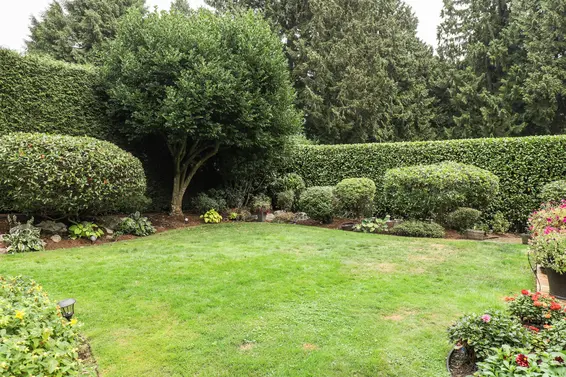 Yard - 1220 East 14th Street  