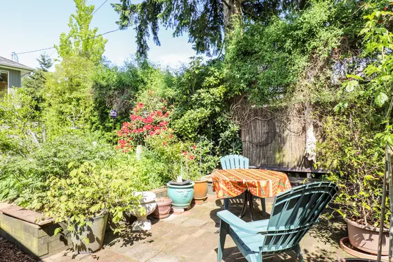 Backyard - 317 East 20th Street  