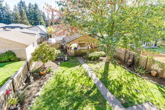 Backyard  - 1637 Evelyn Street  