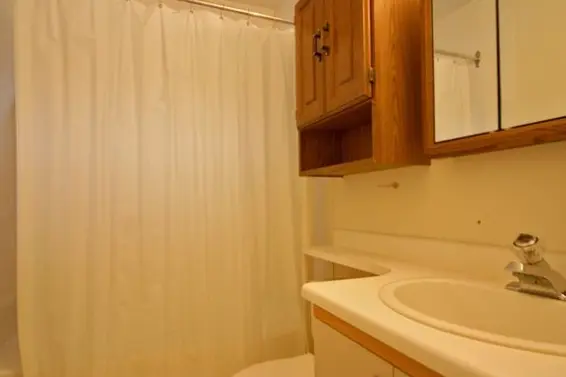 Suite Bathroom  