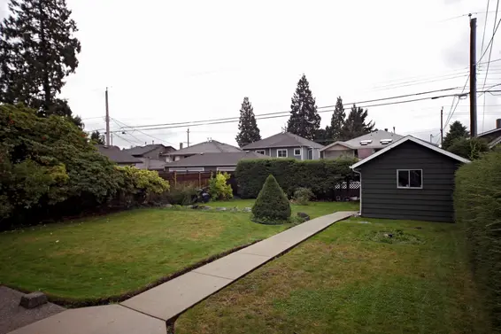 Backyard  