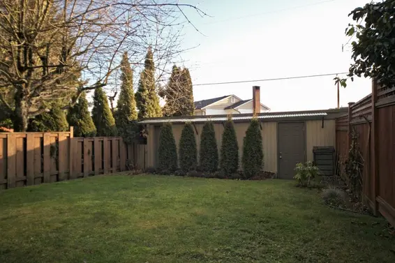 Backyard  
