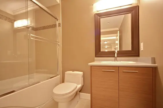 Suite Bathroom  