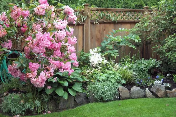 Garden  