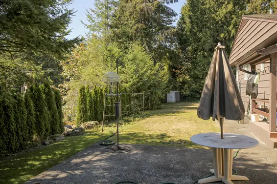 Backyard  