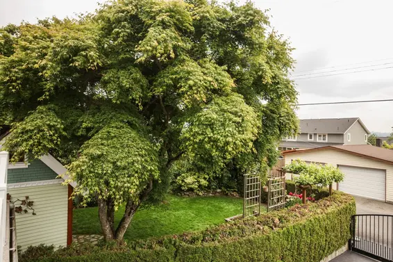 Yard  