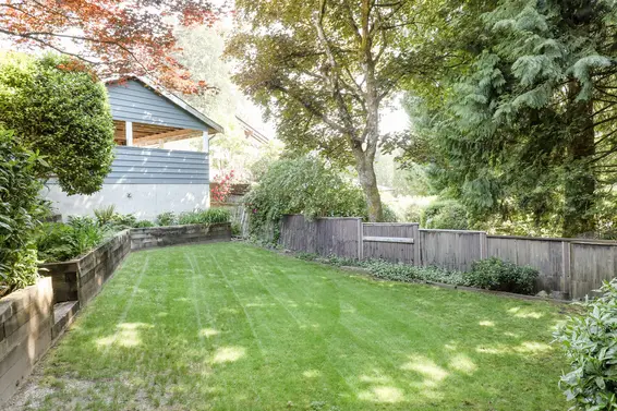 Backyard - 1391 Coleman Street  