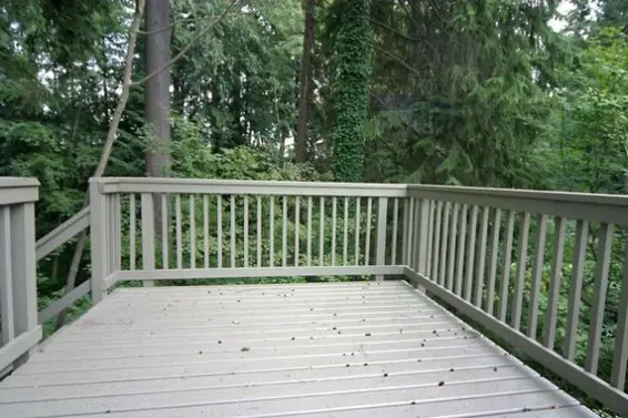 Deck  