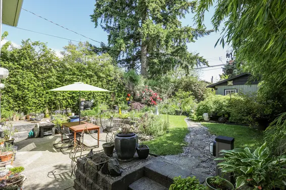 Backyard - 317 East 20th Street  