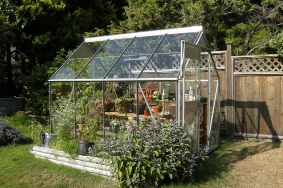 Greenhouse  