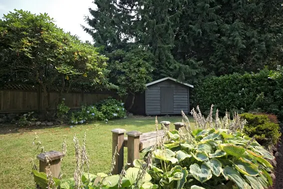 Yard  