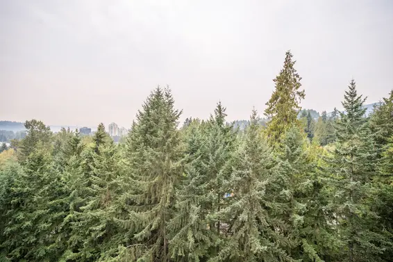 1310 2020 Fullerton Avenue, North Vancouver For Sale - image 25