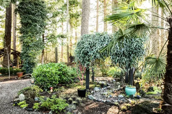 1072 Arborlynn Drive, North Vancouver For Sale - image 31