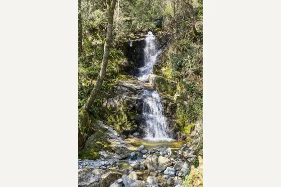 5457 Indian River Drive, North Vancouver For Sale - image 31