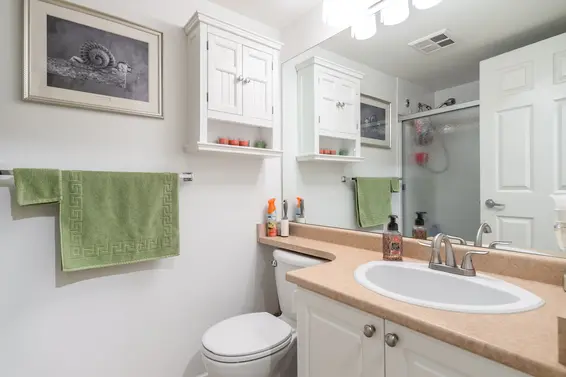 210 223 Mountain Highway - Bathroom  
