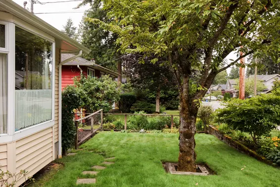 Front yard  