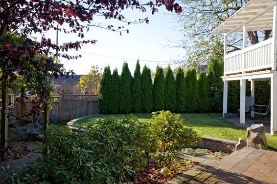 Yard  