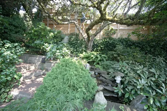 Garden  
