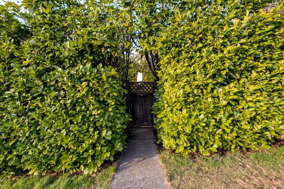 338 West 25th Street, North Vancouver For Sale - image 45