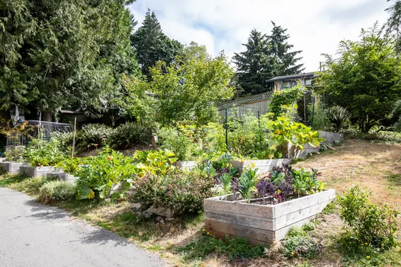 1074 Lillooet Road, North Vancouver For Sale - image 36