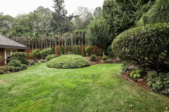 Yard - 1220 East 14th Street  