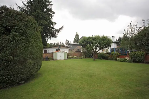 Yard  